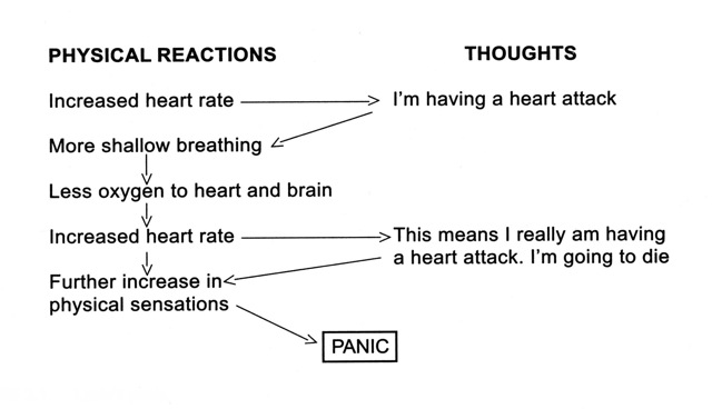 heart attack diagram. realmsheart Panic+attack+